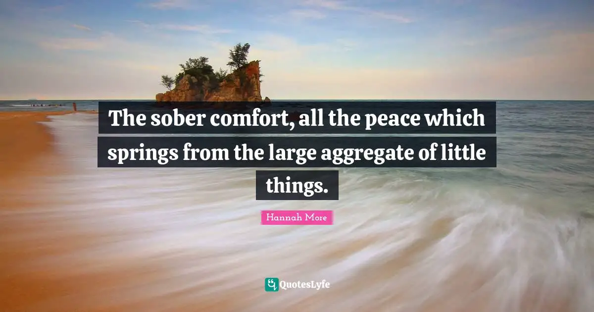 Little Things Quotes: "The sober comfort, all the peace which springs from the large aggregate of little things."