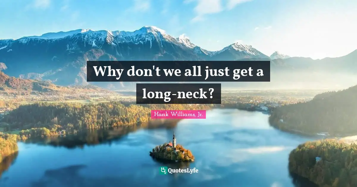 Hank Williams, Jr. Quotes: Why don't we all just get a long-neck?