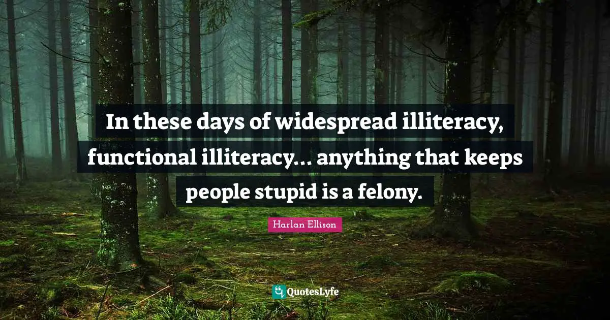 In these days of widespread illiteracy, functional illiteracy... anything that keeps people stupid is a felony.