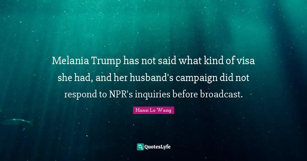 Melania Trump has not said what kind of visa she had, and her husband's campaign did not respond to NPR's inquiries before broadcast.