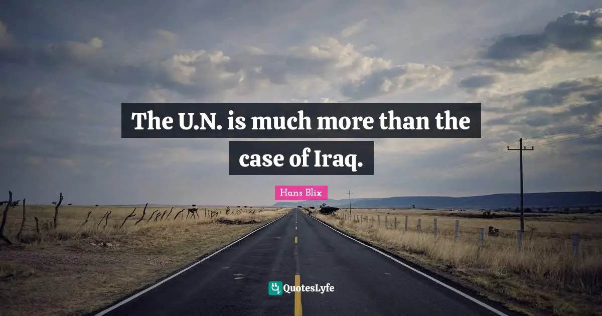 Hans Blix Quotes: "The U.N. is much more than the case of Iraq."
