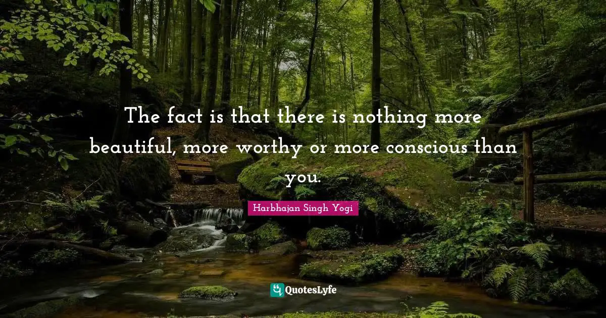 The fact is that there is nothing more beautiful, more worthy or more conscious than you.