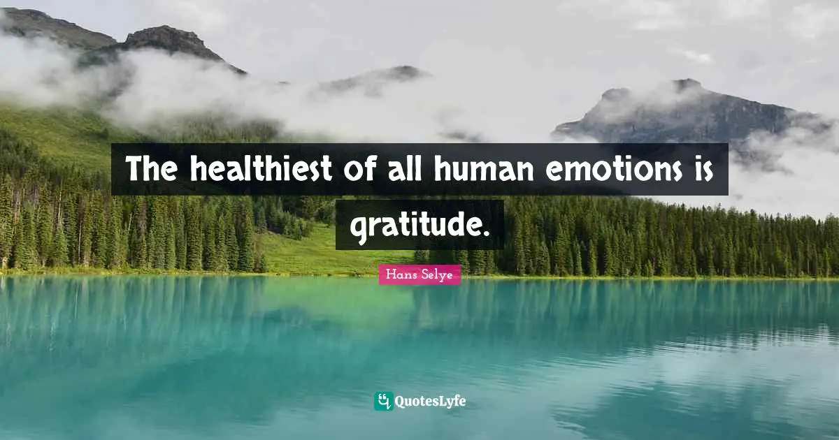 The healthiest of all human emotions is gratitude.