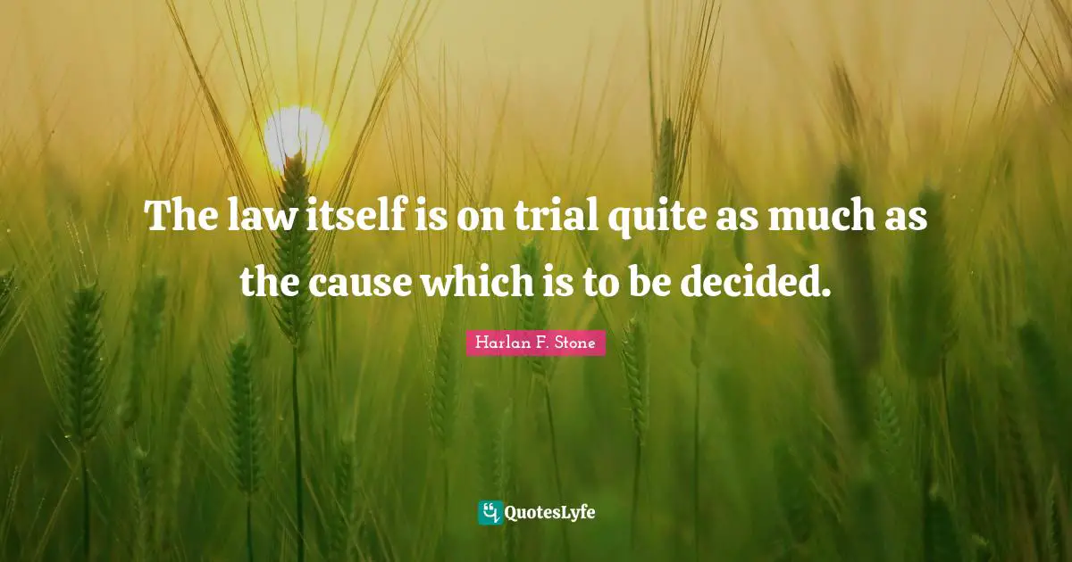 The law itself is on trial quite as much as the cause which is to be decided.