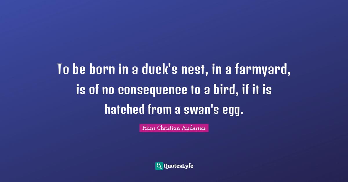 Swans Quotes: "To be born in a duck's nest, in a farmyard, is of no consequence to a bird, if it is hatched from a swan's egg."