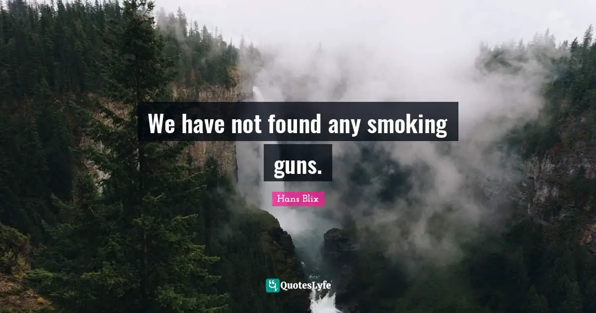 Hans Blix Quotes: "We have not found any smoking guns."