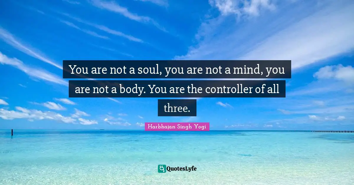 You are not a soul, you are not a mind, you are not a body. You are the controller of all three.