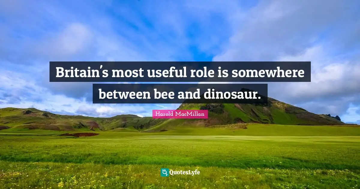 Britain's most useful role is somewhere between bee and dinosaur.