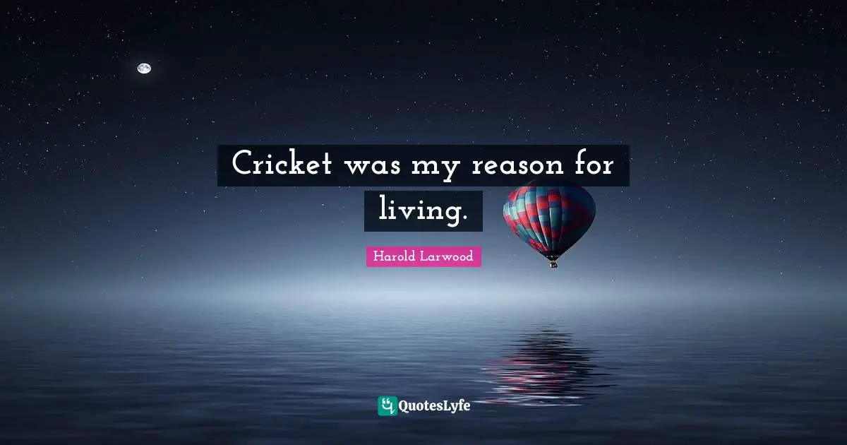 Cricket was my reason for living.
