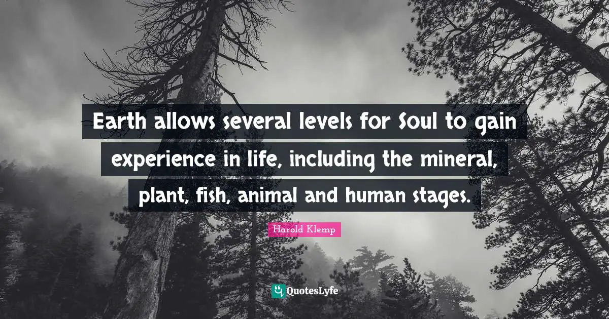 Earth allows several levels for Soul to gain experience in life, including the mineral, plant, fish, animal and human stages.