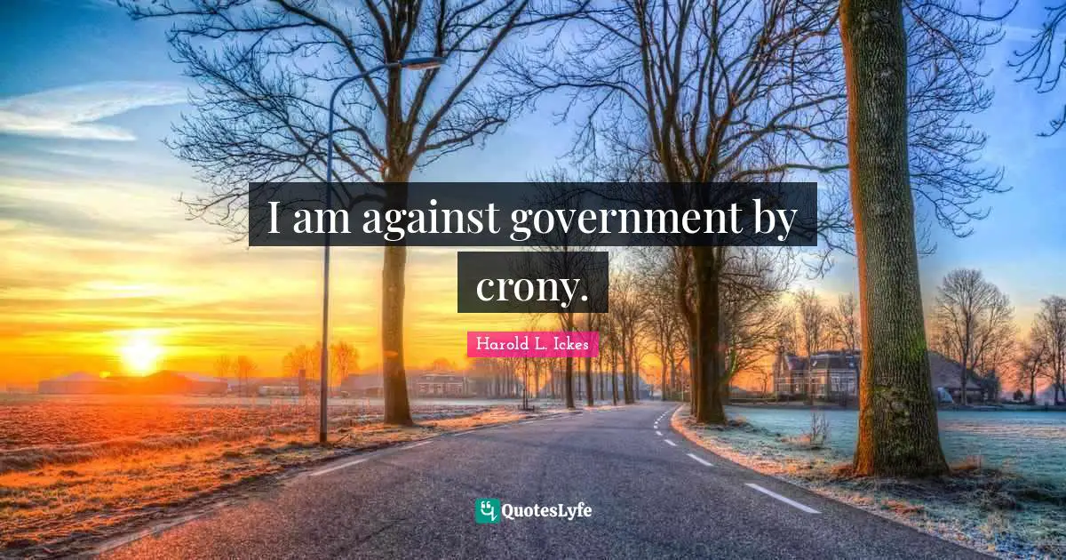 I am against government by crony.