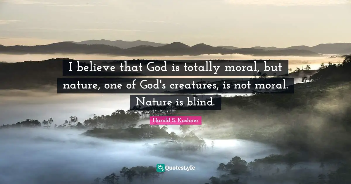 I believe that God is totally moral, but nature, one of God's creatures, is not moral. Nature is blind.