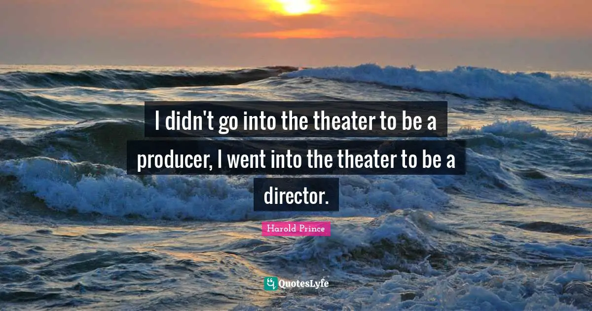 I didn't go into the theater to be a producer, I went into the theater to be a director.
