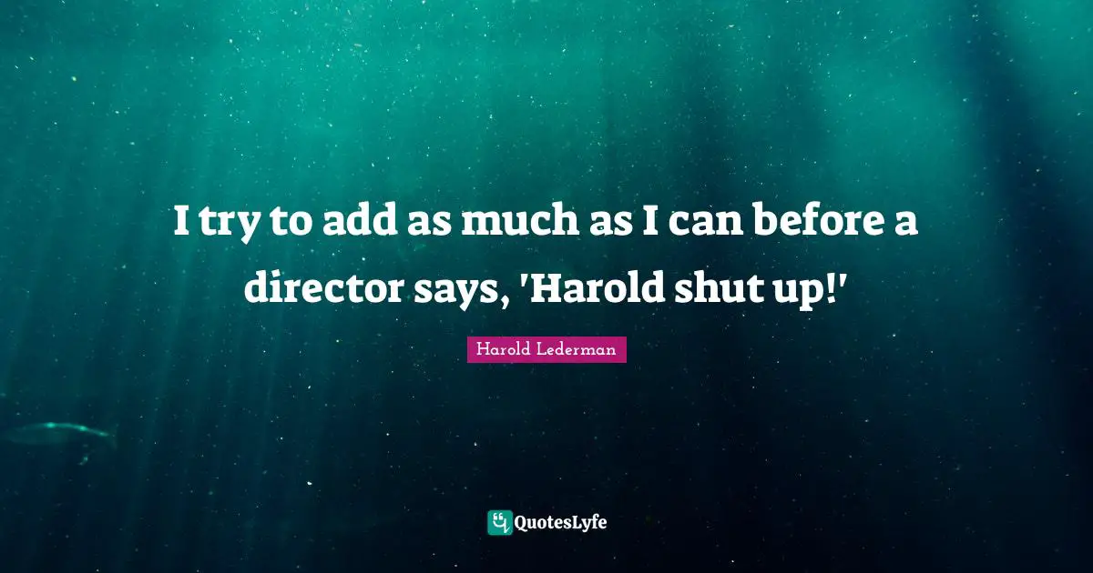 I try to add as much as I can before a director says, 'Harold shut up!'