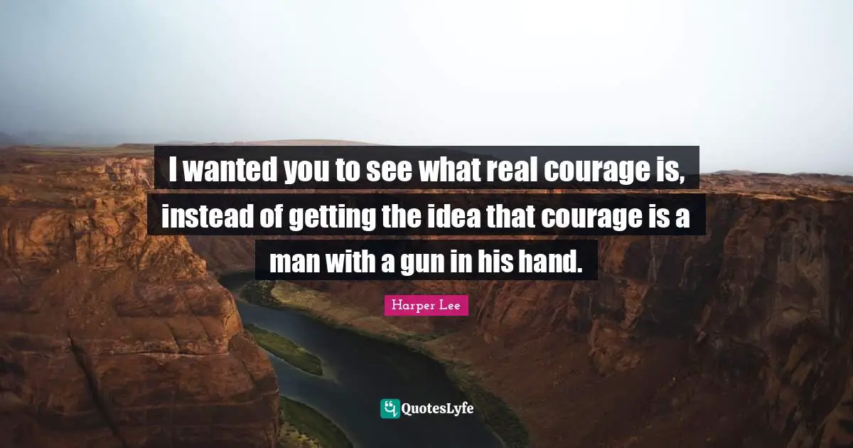 I wanted you to see what real courage is, instead of getting the idea that courage is a man with a gun in his hand.