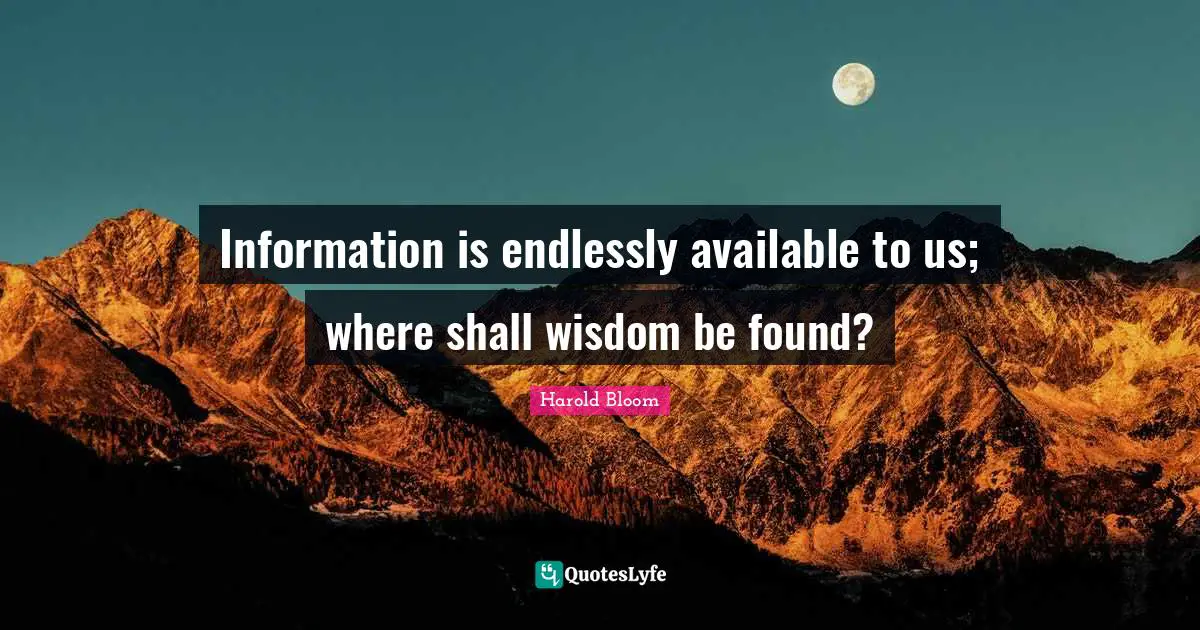 Information is endlessly available to us; where shall wisdom be found?