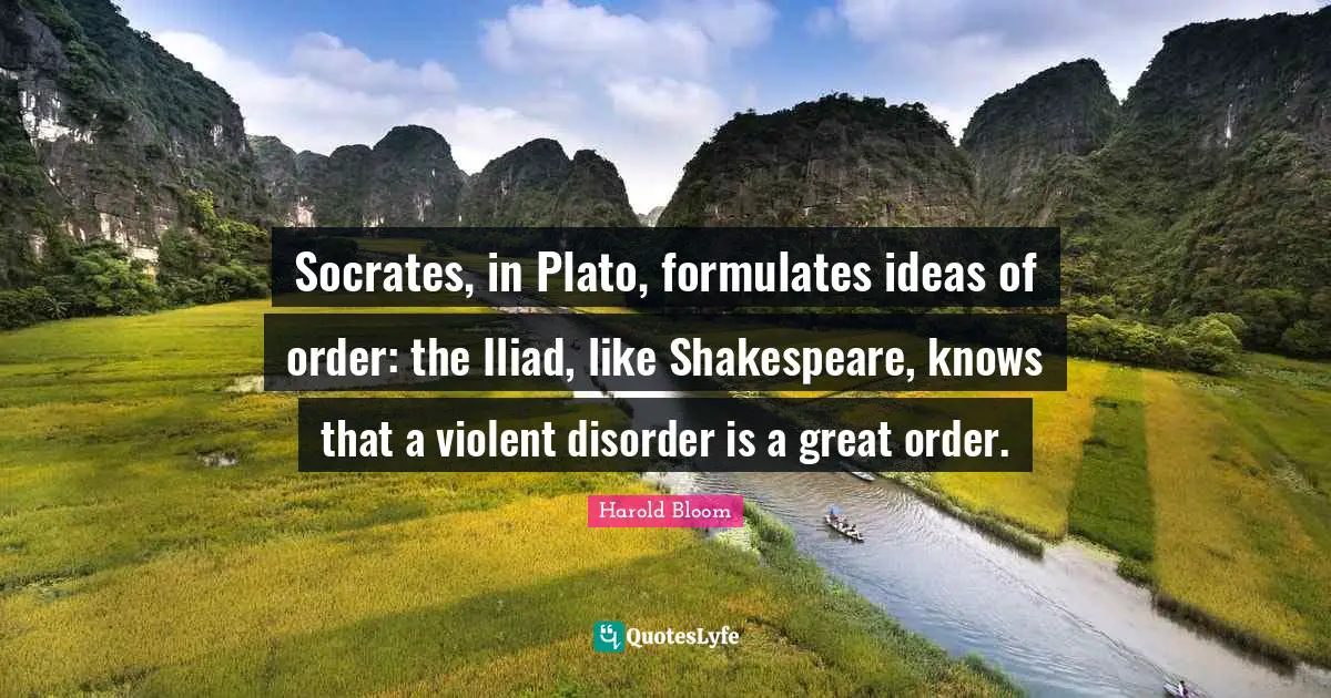 Socrates, in Plato, formulates ideas of order: the Iliad, like Shakespeare, knows that a violent disorder is a great order.
