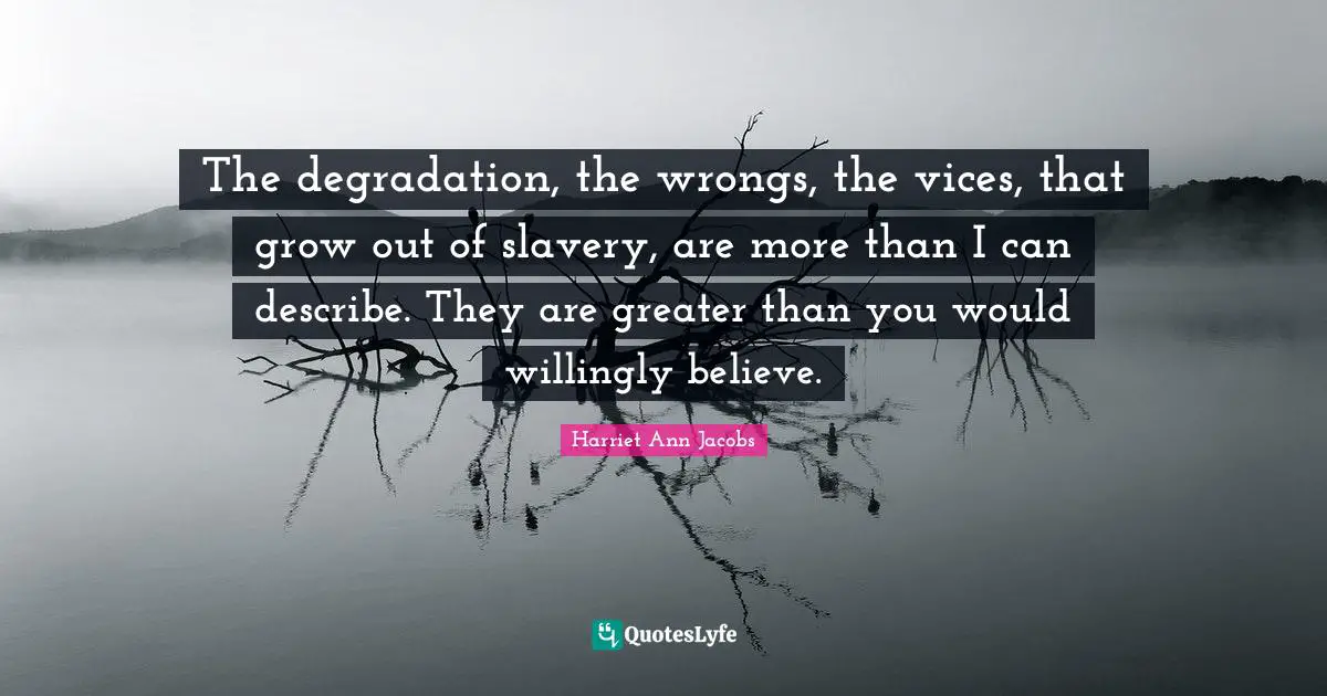 The degradation, the wrongs, the vices, that grow out of slavery, are more than I can describe. They are greater than you would willingly believe.