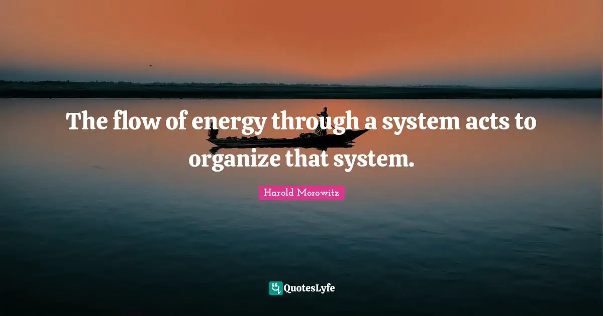 The flow of energy through a system acts to organize that system.