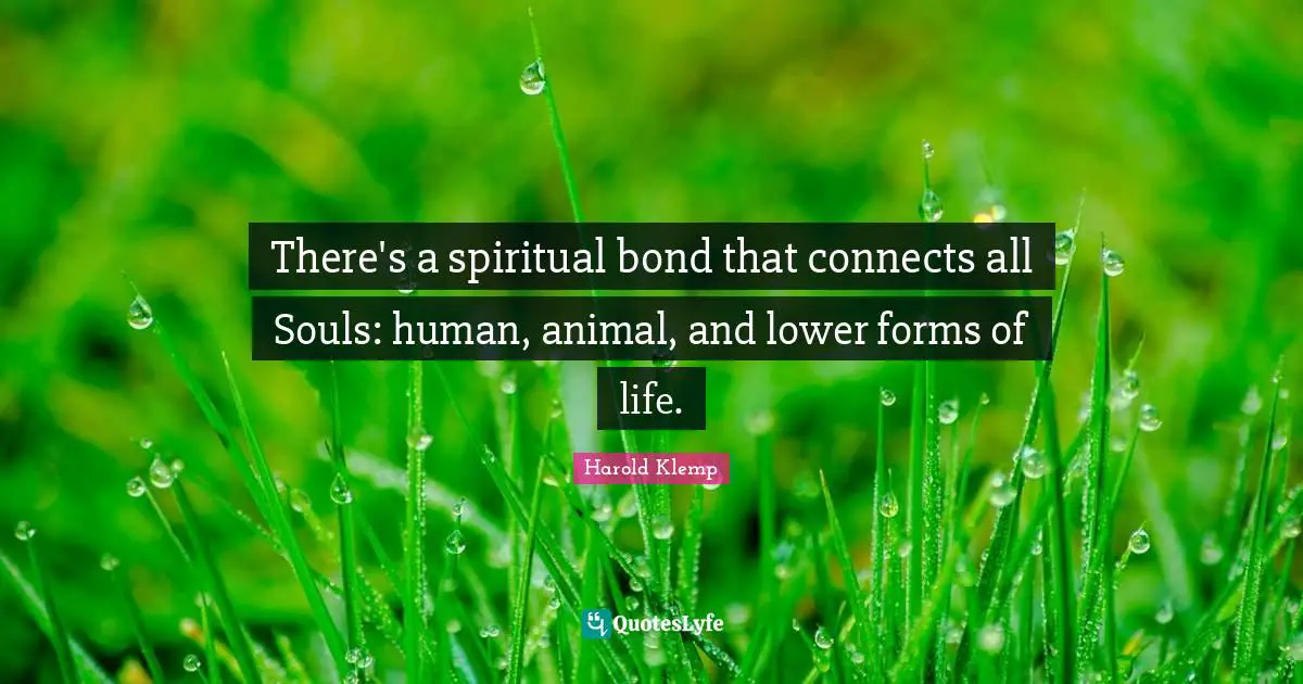 There's a spiritual bond that connects all Souls: human, animal, and lower forms of life.
