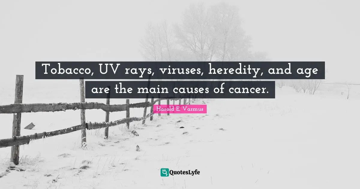 Tobacco, UV rays, viruses, heredity, and age are the main causes of cancer.
