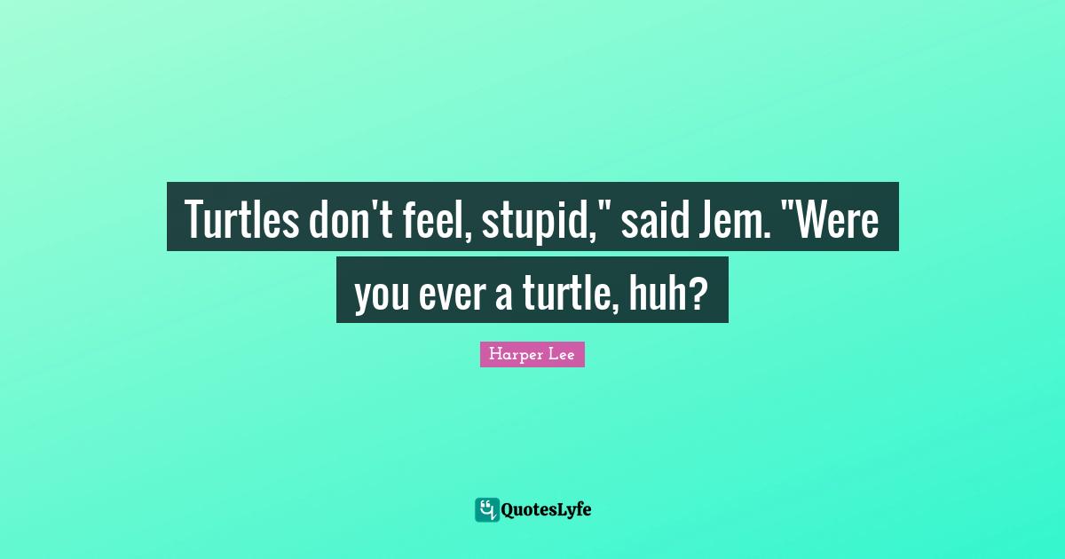 Turtles don't feel, stupid," said Jem. "Were you ever a turtle, huh?