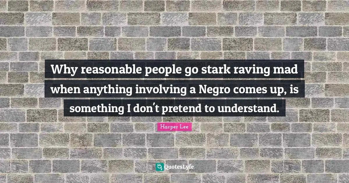Why reasonable people go stark raving mad when anything involving a Negro comes up, is something I don't pretend to understand.
