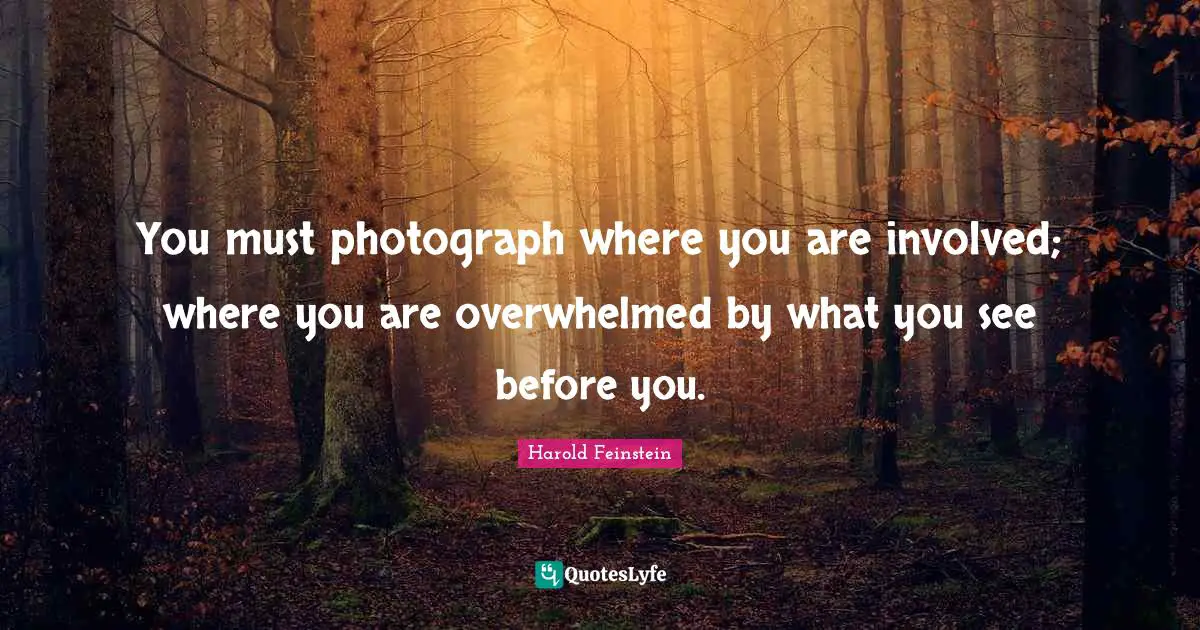 You must photograph where you are involved; where you are overwhelmed by what you see before you.