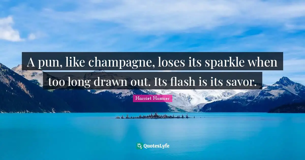 A pun, like champagne, loses its sparkle when too long drawn out. Its flash is its savor.