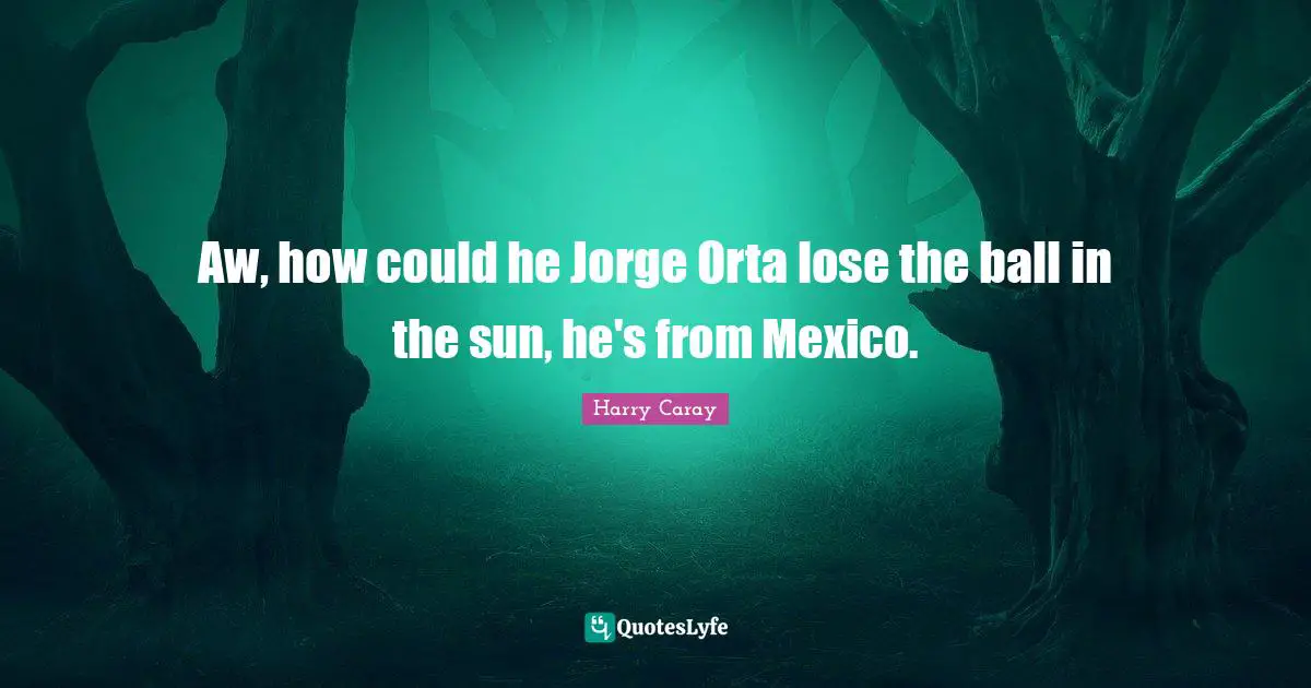 Sun Quotes: "Aw, how could he Jorge Orta lose the ball in the sun, he's from Mexico."