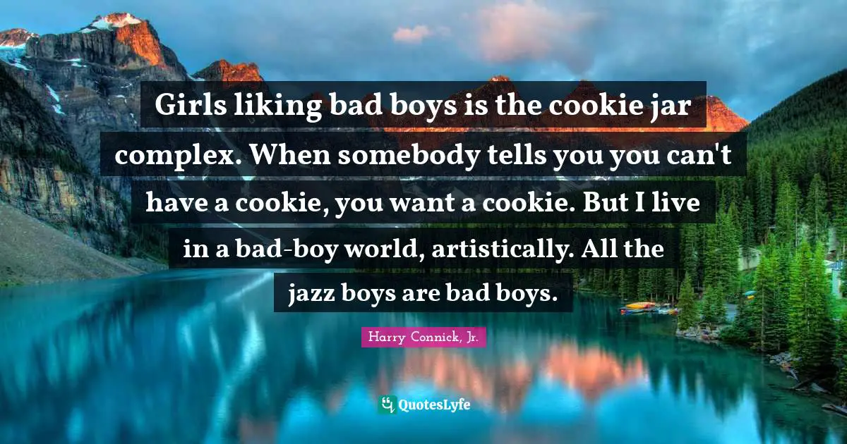 Girls liking bad boys is the cookie jar complex. When somebody tells you you can't have a cookie, you want a cookie. But I live in a bad-boy world, artistically. All the jazz boys are bad boys.
