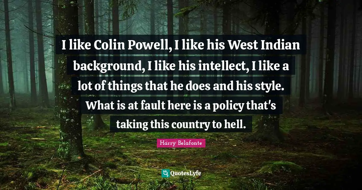 I like Colin Powell, I like his West Indian background, I like his intellect, I like a lot of things that he does and his style. What is at fault here is a policy that's taking this country to hell.