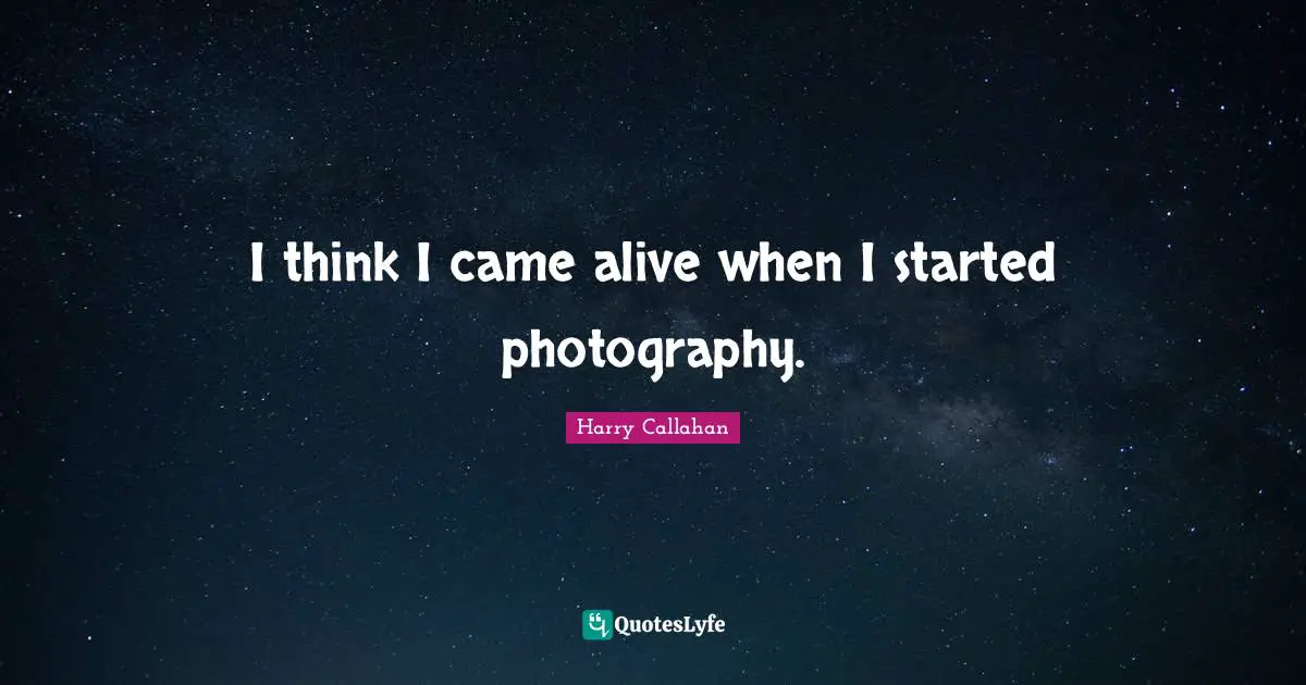 I think I came alive when I started photography.