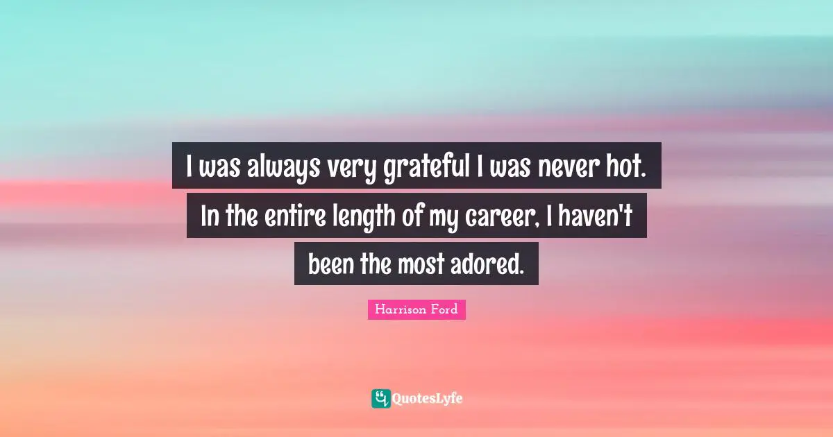 I was always very grateful I was never hot. In the entire length of my career, I haven't been the most adored.