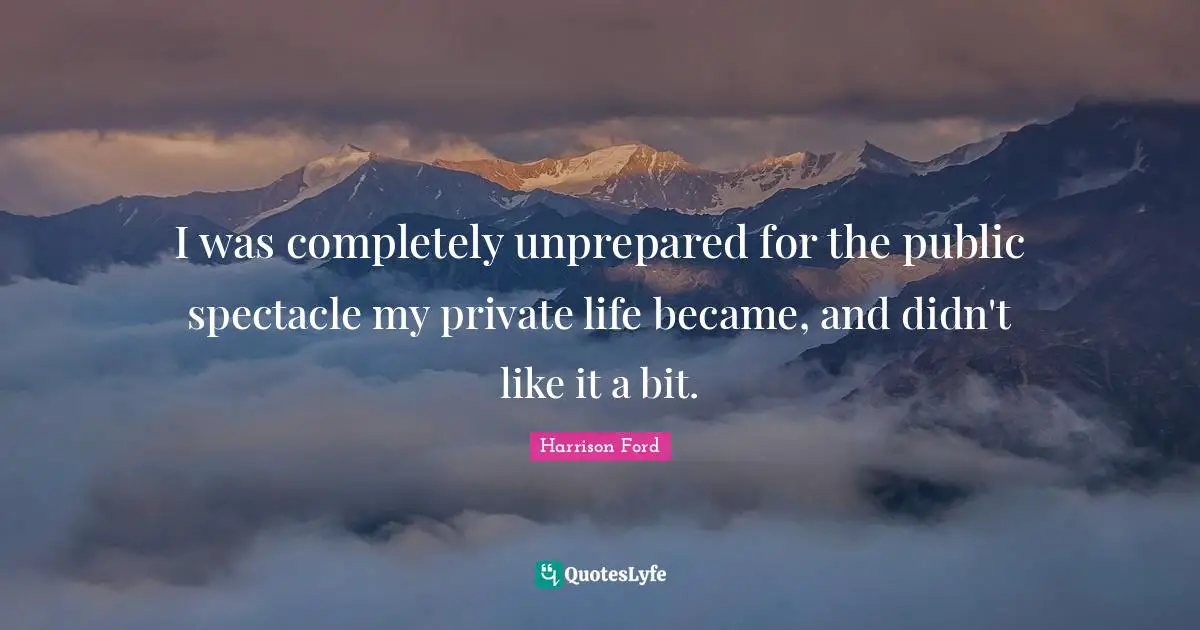 I was completely unprepared for the public spectacle my private life became, and didn't like it a bit.