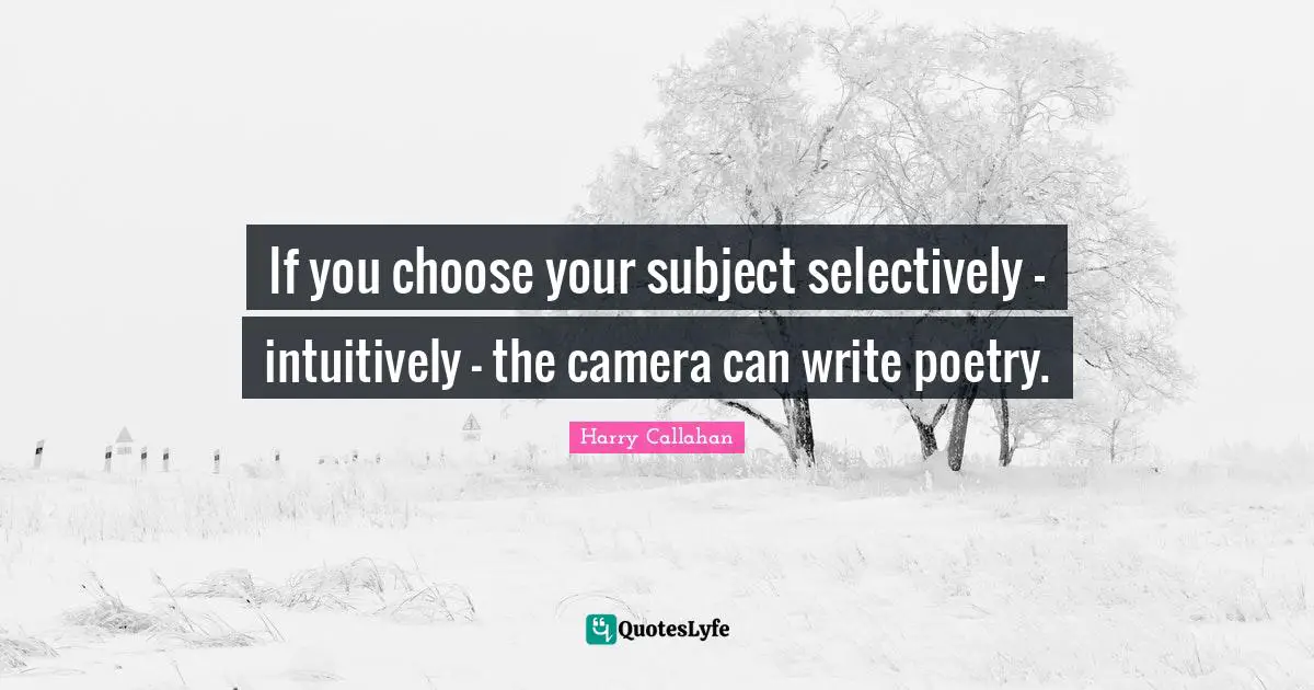 If you choose your subject selectively - intuitively - the camera can write poetry.