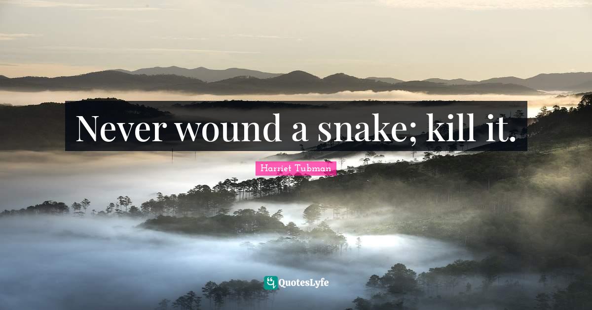 Never wound a snake; kill it.... Quote by Harriet Tubman QuotesLyfe