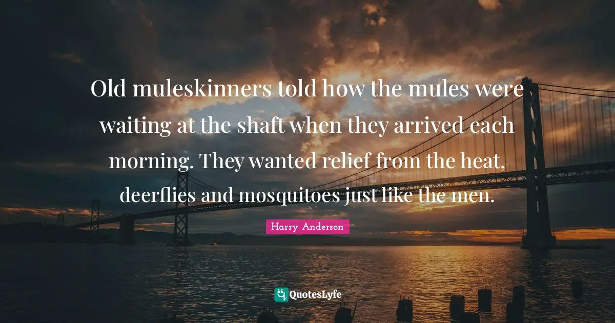 Mosquitoes Quotes: "Old muleskinners told how the mules were waiting at the shaft when they arrived each morning. They wanted relief from the heat, deerflies and mosquitoes just like the men."