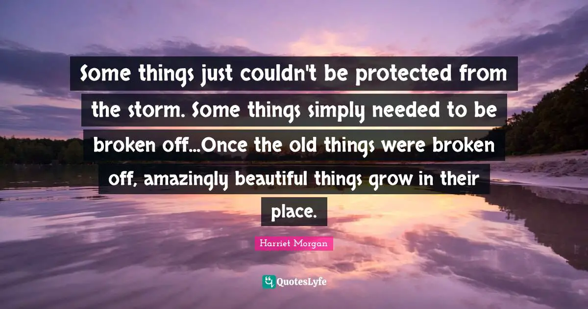 Some things just couldn't be protected from the storm. Some things simply needed to be broken off...Once the old things were broken off, amazingly beautiful things grow in their place.