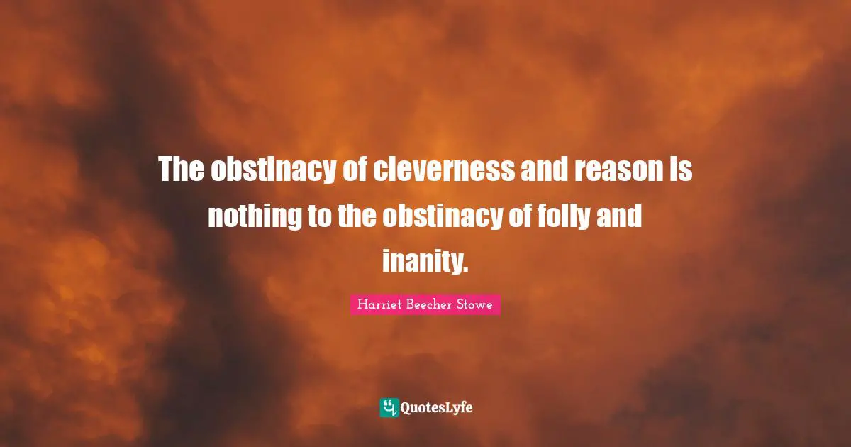 The obstinacy of cleverness and reason is nothing to the obstinacy of folly and inanity.