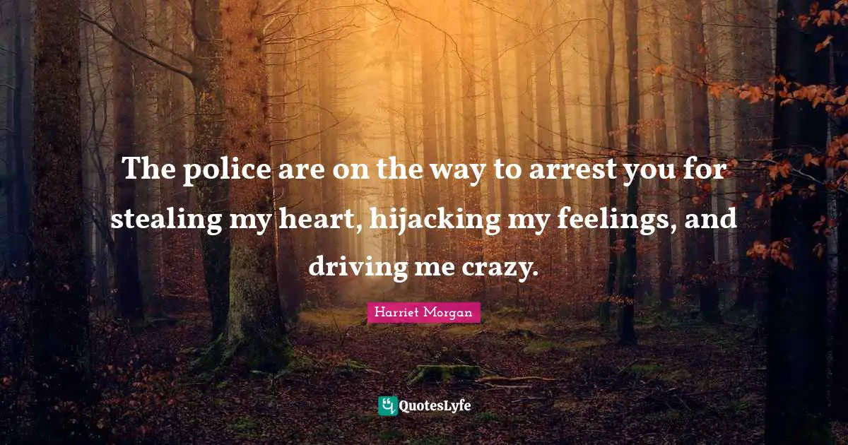 The police are on the way to arrest you for stealing my heart, hijacking my feelings, and driving me crazy.