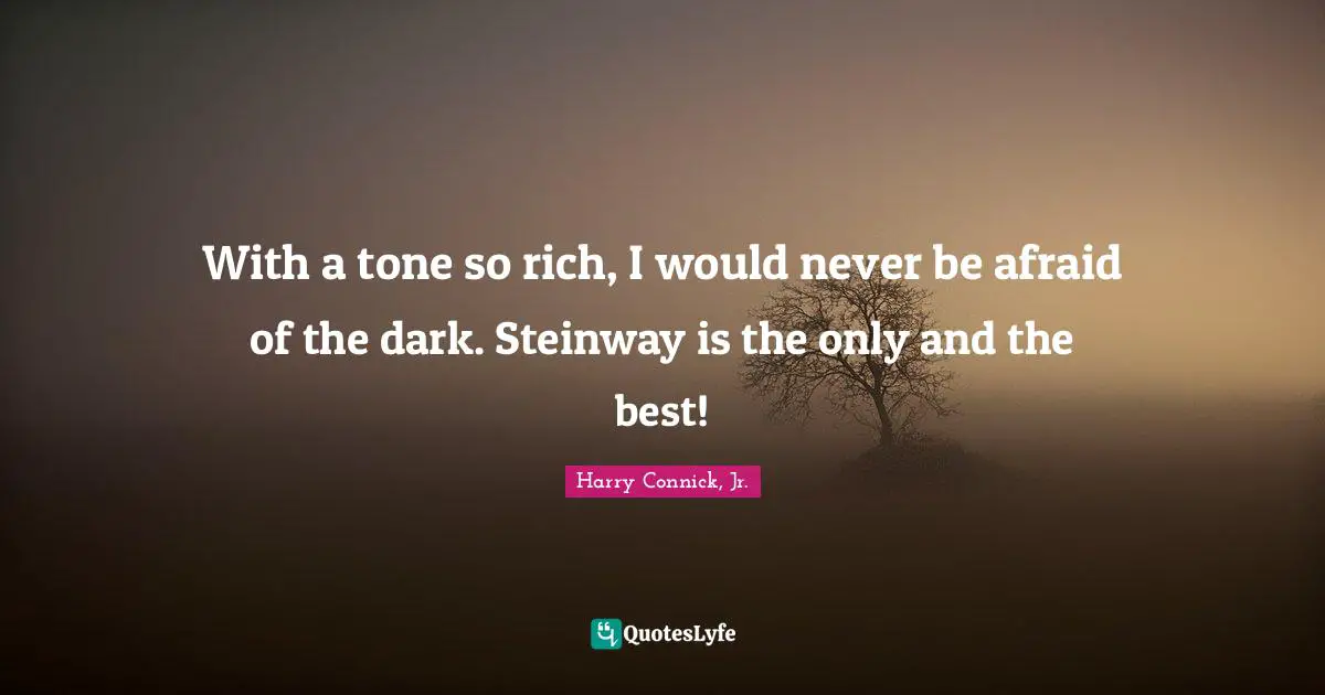 With a tone so rich, I would never be afraid of the dark. Steinway is the only and the best!
