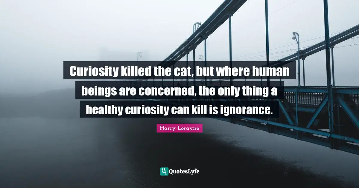 Curiosity killed the cat, but where human beings are concerned, the only thing a healthy curiosity can kill is ignorance.