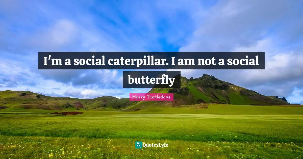 I'm a social caterpillar. I am not a social butterfly