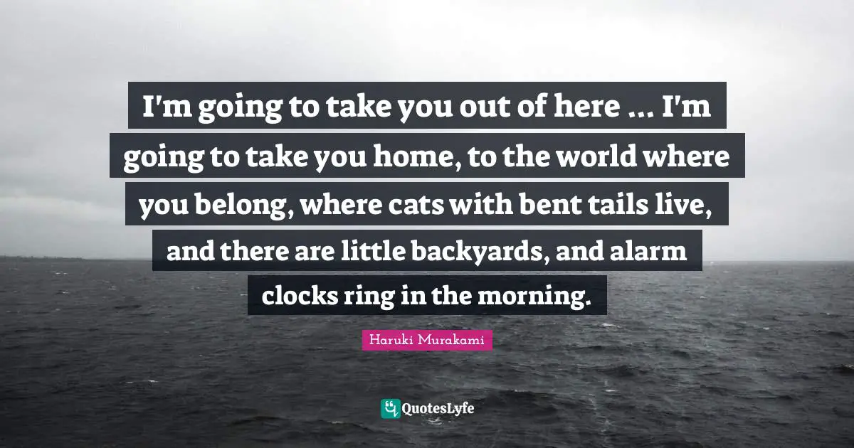 I'm going to take you out of here ... I'm going to take you home, to the world where you belong, where cats with bent tails live, and there are little backyards, and alarm clocks ring in the morning.