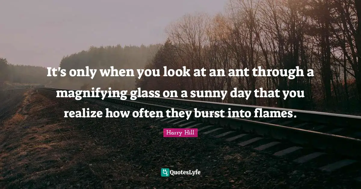 It's only when you look at an ant through a magnifying glass on a sunny day that you realize how often they burst into flames.
