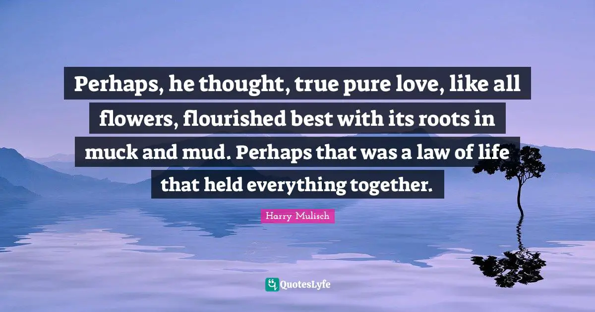 Perhaps, he thought, true pure love, like all flowers, flourished best with its roots in muck and mud. Perhaps that was a law of life that held everything together.