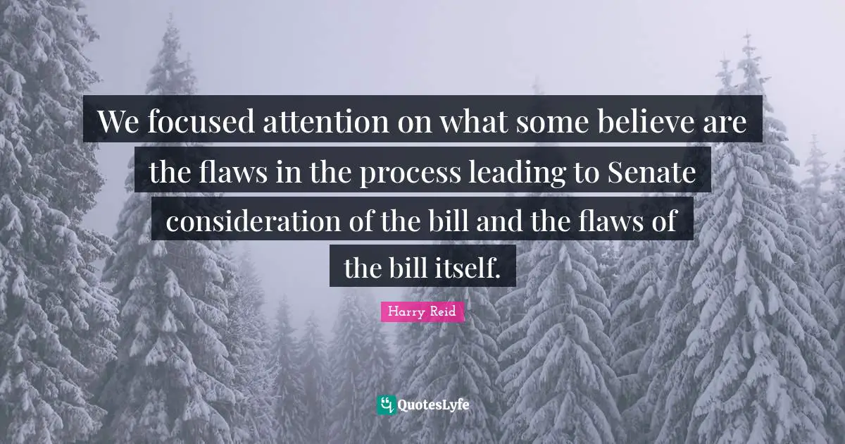 We focused attention on what some believe are the flaws in the process leading to Senate consideration of the bill and the flaws of the bill itself.