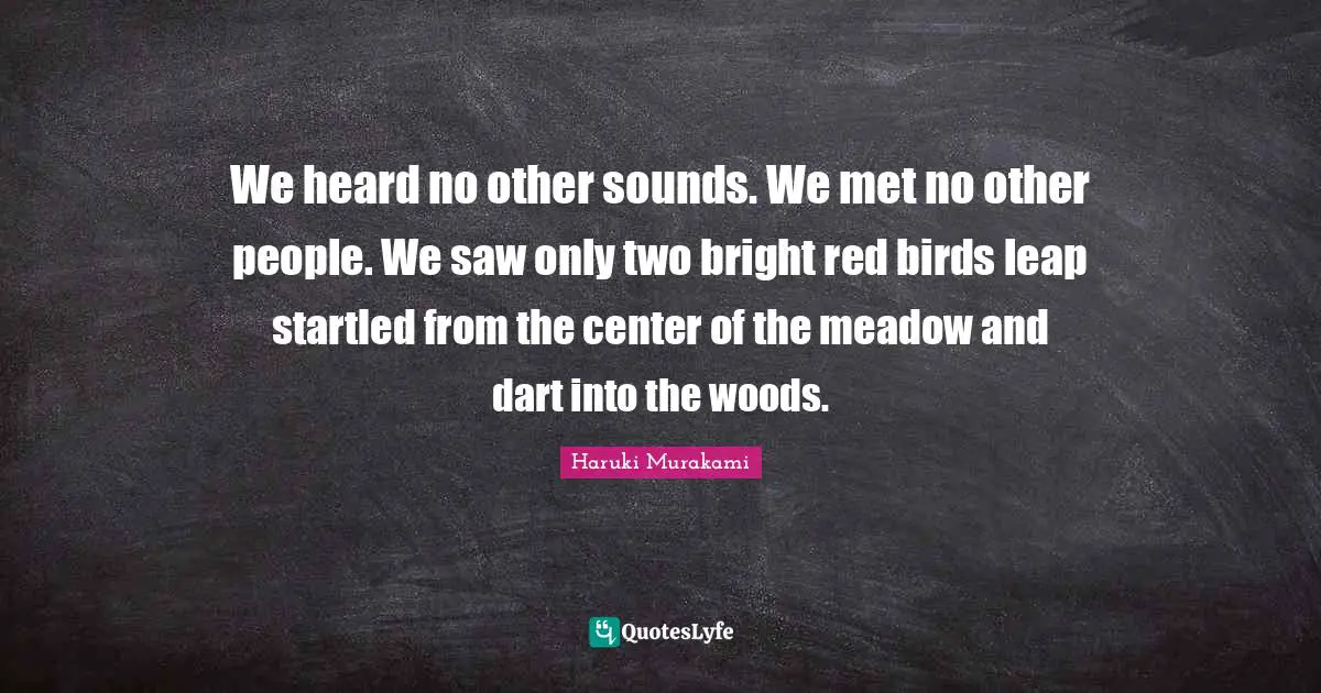We heard no other sounds. We met no other people. We saw only two bright red birds leap startled from the center of the meadow and dart into the woods.