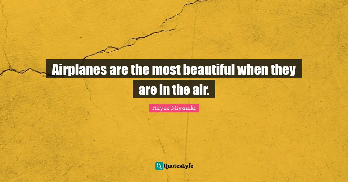 Airplanes are the most beautiful when they are in the air.